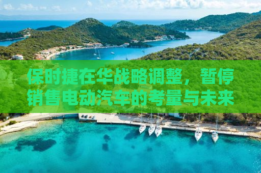 保时捷在华战略调整，暂停销售电动汽车的考量与未来展望