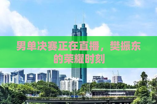 男单决赛正在直播，樊振东的荣耀时刻