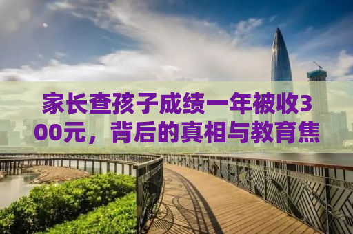 家长查孩子成绩一年被收300元，背后的真相与教育焦虑的反思