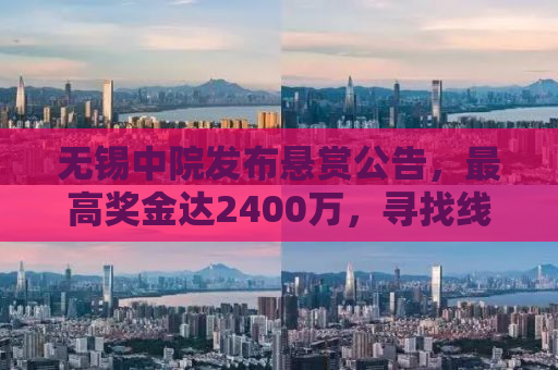 无锡中院发布悬赏公告，最高奖金达2400万，寻找线索破案者！