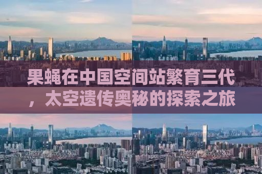 果蝇在中国空间站繁育三代，太空遗传奥秘的探索之旅即将落幕