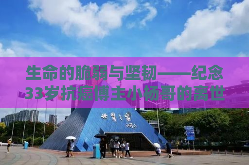 生命的脆弱与坚韧——纪念33岁抗癌博主小杨哥的离世