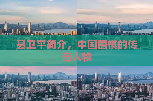 聂卫平简介，中国围棋的传奇人物
