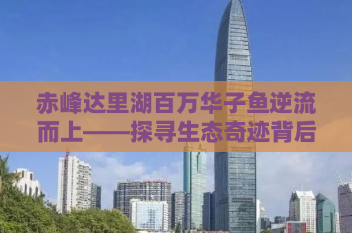 赤峰达里湖百万华子鱼逆流而上——探寻生态奇迹背后的故事