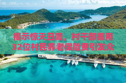 揭示惊天丑闻，村干部挪用32位村民养老保险费引发众怒