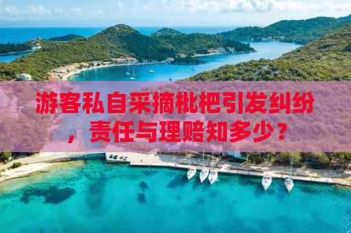 游客私自采摘枇杷引发纠纷，责任与理赔知多少？