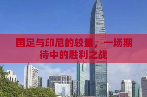 国足与印尼的较量，一场期待中的胜利之战