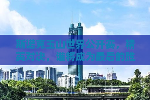 斯诺克玉山世界公开赛，精英对决，谁将成为最后的胜者？