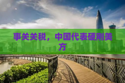 事关关税，中国代表硬刚美方