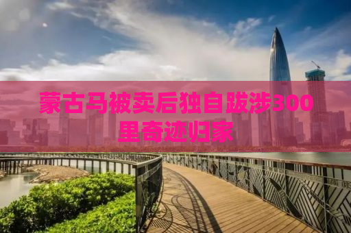 蒙古马被卖后独自跋涉300里奇迹归家