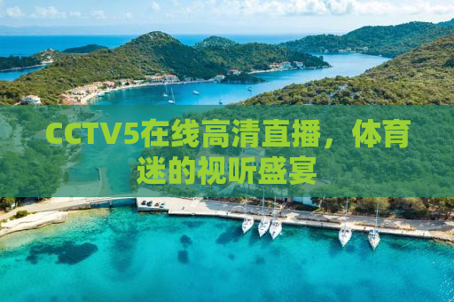 CCTV5在线高清直播，体育迷的视听盛宴