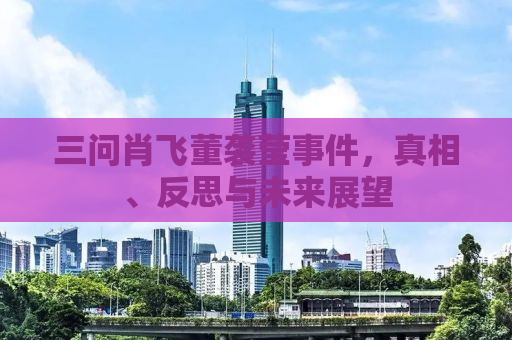 三问肖飞董袭莹事件，真相、反思与未来展望