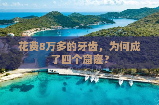花费8万多的牙齿，为何成了四个窟窿？
