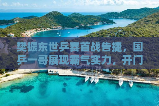 樊振东世乒赛首战告捷，国乒一哥展现霸气实力，开门红引领赛场风云！