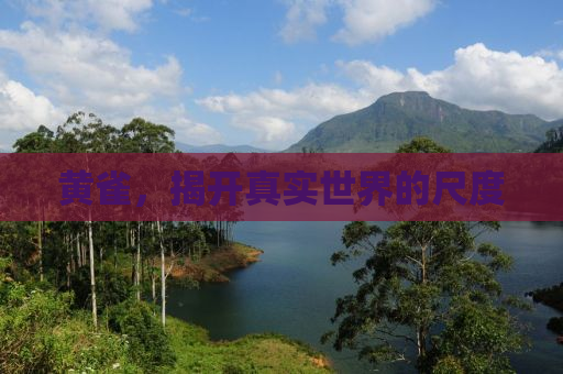 黄雀，揭开真实世界的尺度