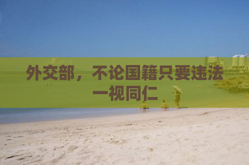 外交部，不论国籍只要违法一视同仁