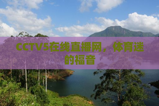 CCTV5在线直播网，体育迷的福音