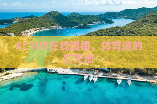 CCTV5在线直播，体育迷的新天地