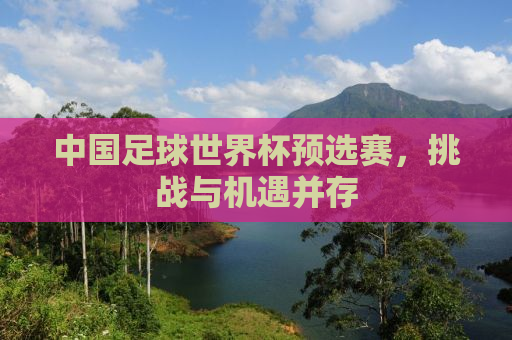 中国足球世界杯预选赛，挑战与机遇并存