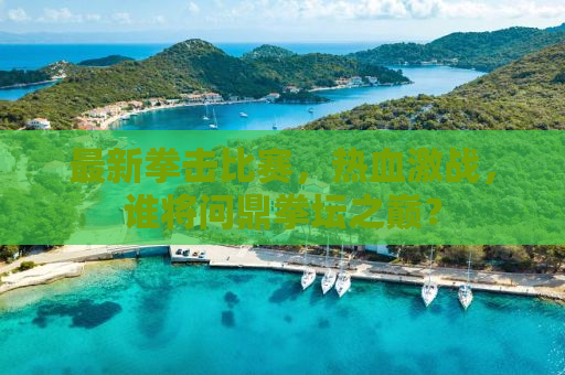 最新拳击比赛，热血激战，谁将问鼎拳坛之巅？