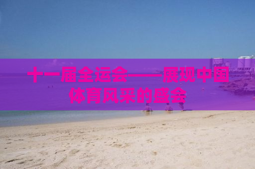 十一届全运会——展现中国体育风采的盛会