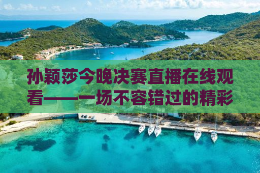 孙颖莎今晚决赛直播在线观看——一场不容错过的精彩对决