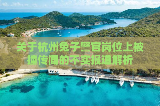 关于杭州兔子警官岗位上被撞传闻的不实报道解析