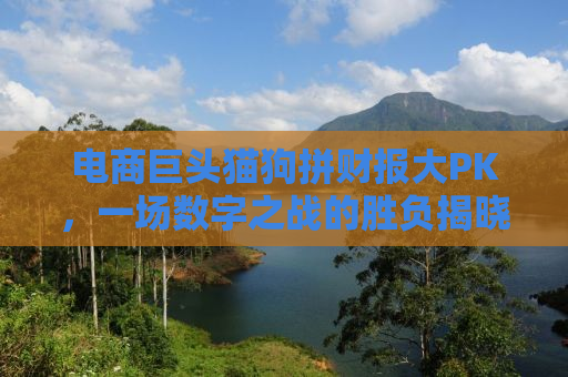 电商巨头猫狗拼财报大PK，一场数字之战的胜负揭晓
