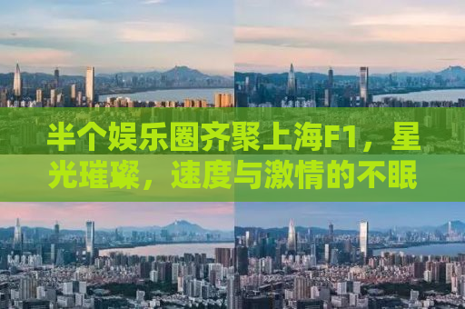 半个娱乐圈齐聚上海F1，星光璀璨，速度与激情的不眠之夜