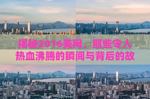 揭秘2016美网，那些令人热血沸腾的瞬间与背后的故事