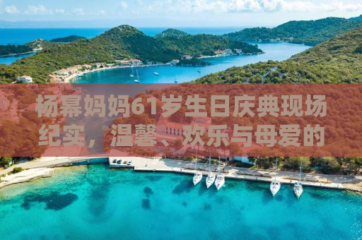 杨幂妈妈61岁生日庆典现场纪实，温馨、欢乐与母爱的交汇