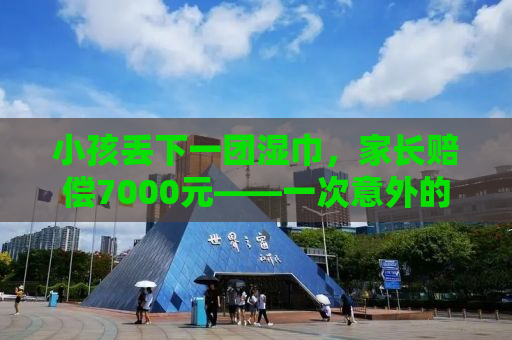 小孩丢下一团湿巾，家长赔偿7000元——一次意外的消费警醒