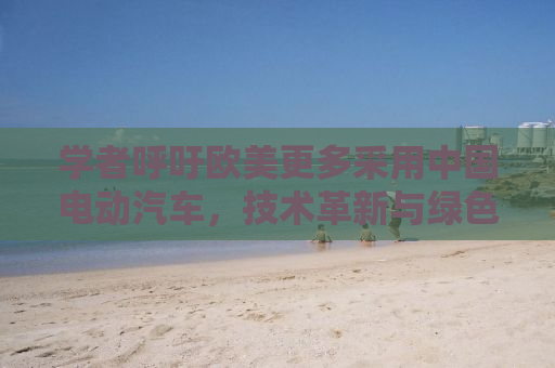 学者呼吁欧美更多采用中国电动汽车，技术革新与绿色转型的关键路径