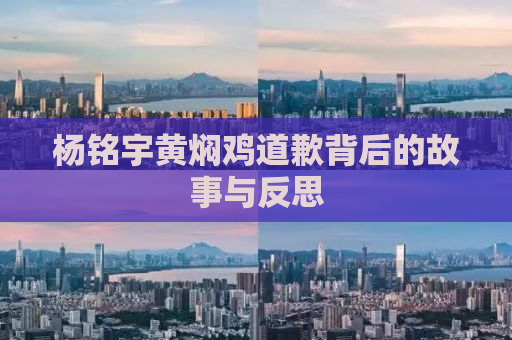 杨铭宇黄焖鸡道歉背后的故事与反思