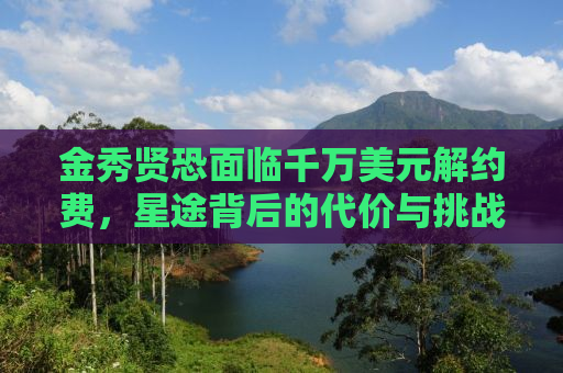 金秀贤恐面临千万美元解约费，星途背后的代价与挑战