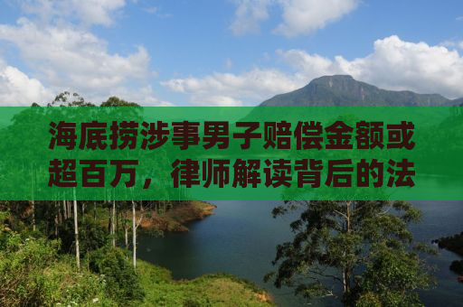 海底捞涉事男子赔偿金额或超百万，律师解读背后的法律责任