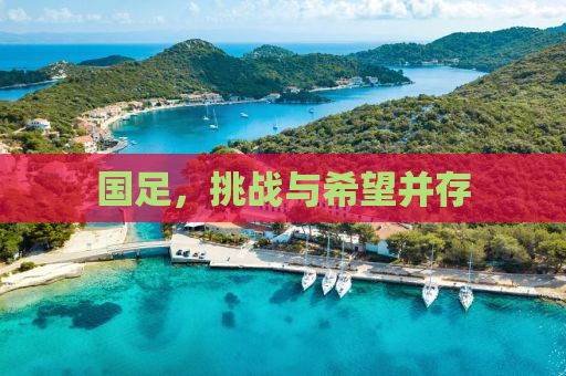 国足，挑战与希望并存