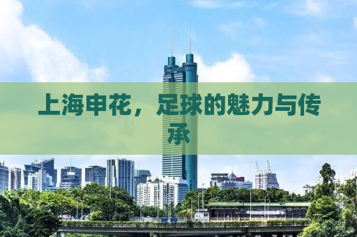 上海申花，足球的魅力与传承