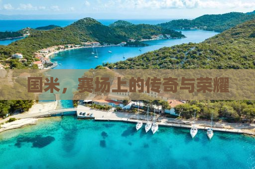 国米，赛场上的传奇与荣耀