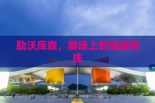勒沃库森，赛场上的璀璨明珠