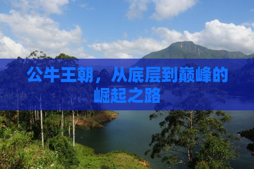 公牛王朝，从底层到巅峰的崛起之路