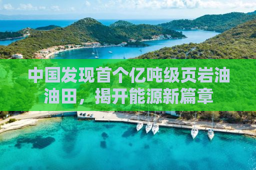 中国发现首个亿吨级页岩油油田，揭开能源新篇章