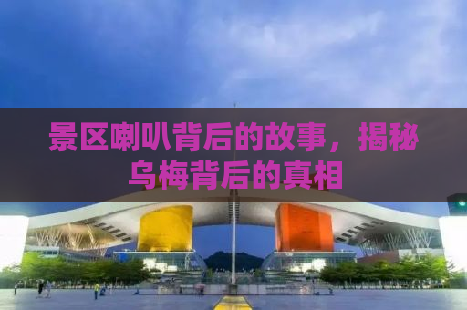 景区喇叭背后的故事，揭秘乌梅背后的真相