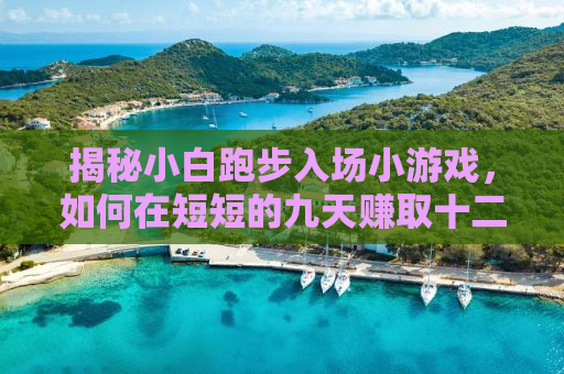 揭秘小白跑步入场小游戏，如何在短短的九天赚取十二万！