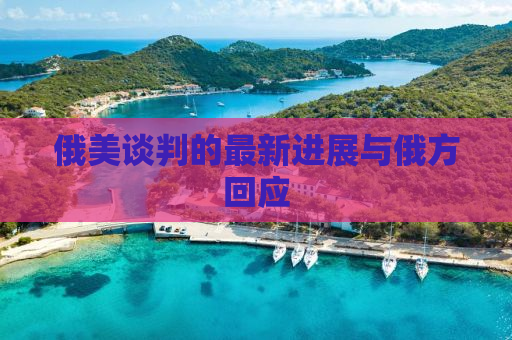 俄美谈判的最新进展与俄方回应