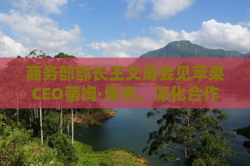 商务部部长王文涛会见苹果CEO蒂姆·库克，深化合作，共谋发展
