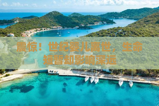 震惊！世纪婴儿离世，生命短暂却影响深远