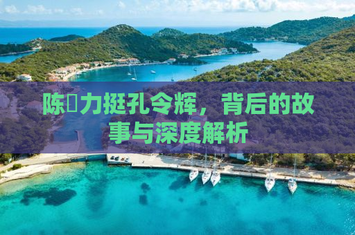 陈玘力挺孔令辉，背后的故事与深度解析