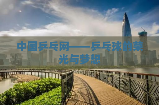 中国乒乓网——乒乓球的荣光与梦想