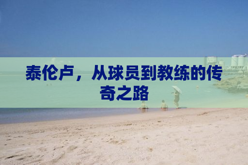 泰伦卢，从球员到教练的传奇之路
